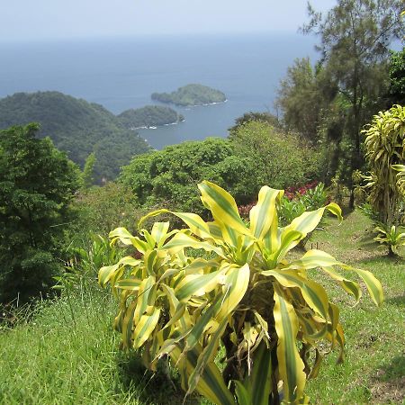 Mahogany Ridge Hotel Arouca Buitenkant foto