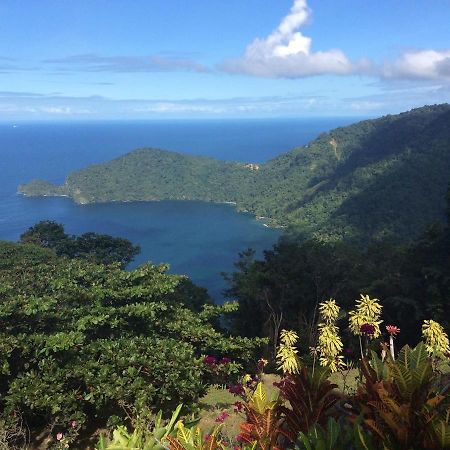 Mahogany Ridge Hotel Arouca Buitenkant foto