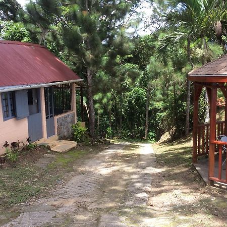 Mahogany Ridge Hotel Arouca Buitenkant foto