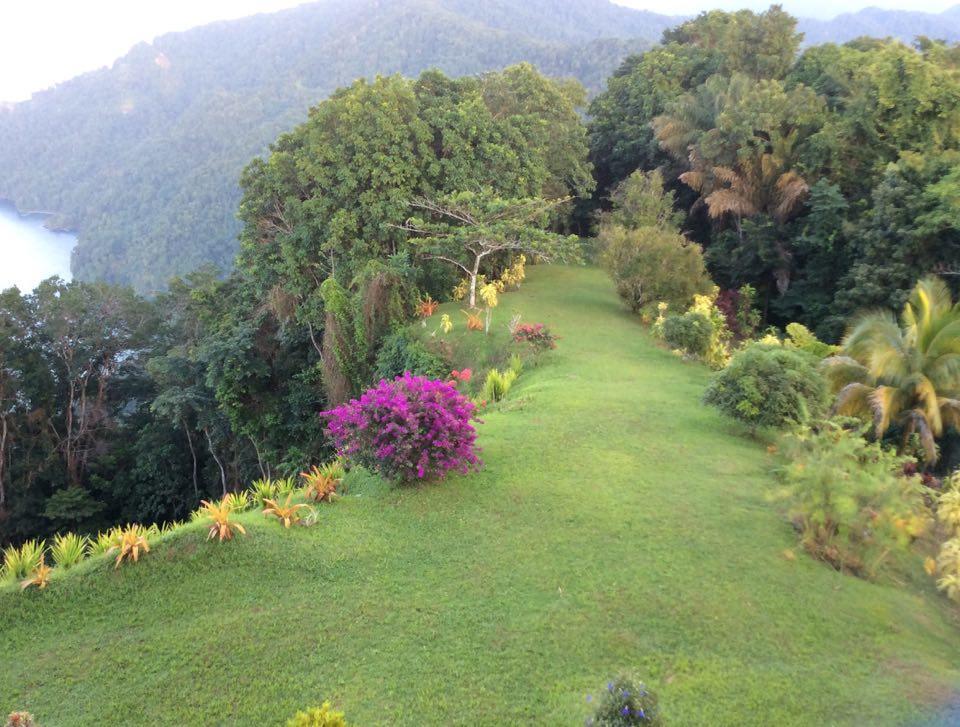 Mahogany Ridge Hotel Arouca Buitenkant foto