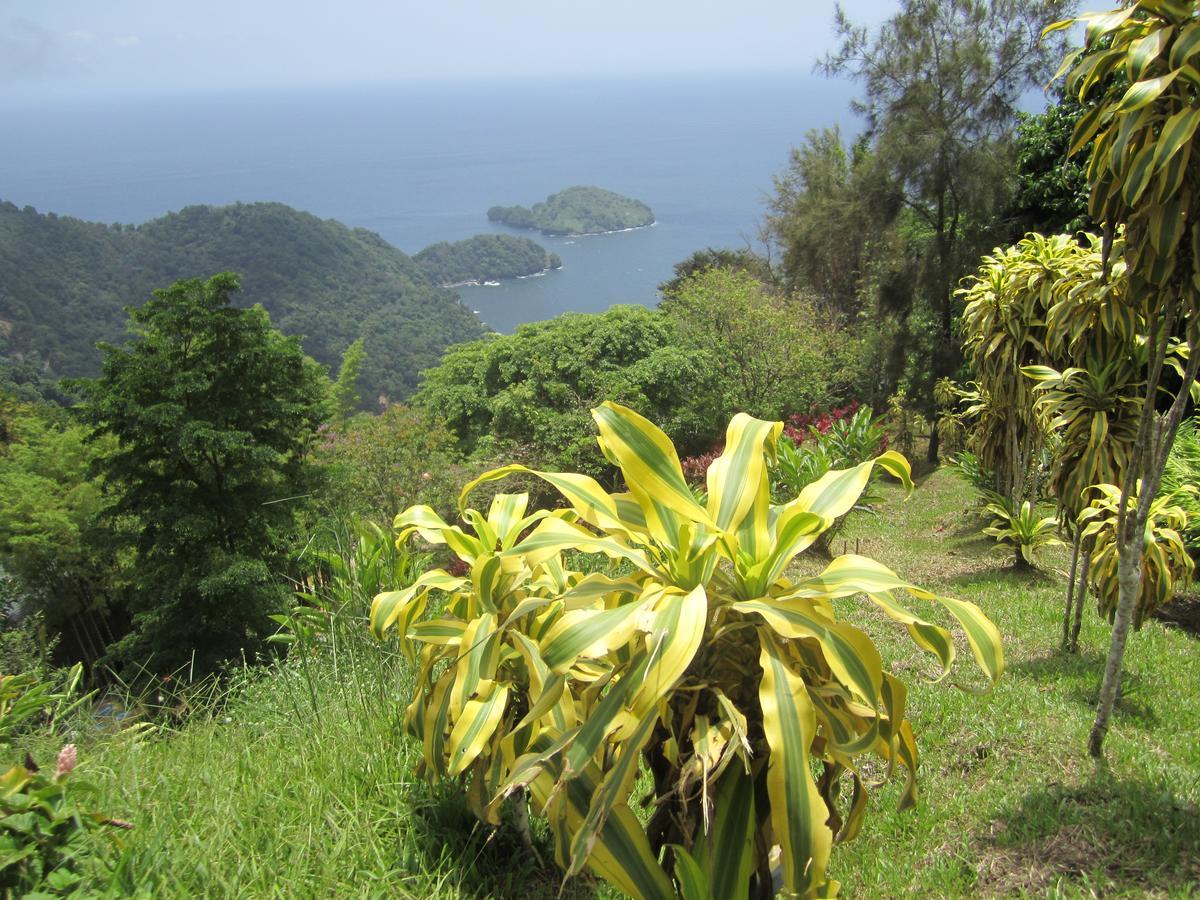Mahogany Ridge Hotel Arouca Buitenkant foto