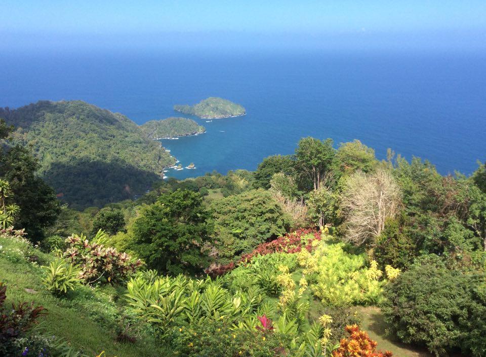 Mahogany Ridge Hotel Arouca Buitenkant foto