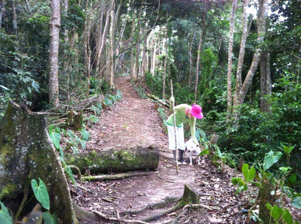 Mahogany Ridge Hotel Arouca Buitenkant foto