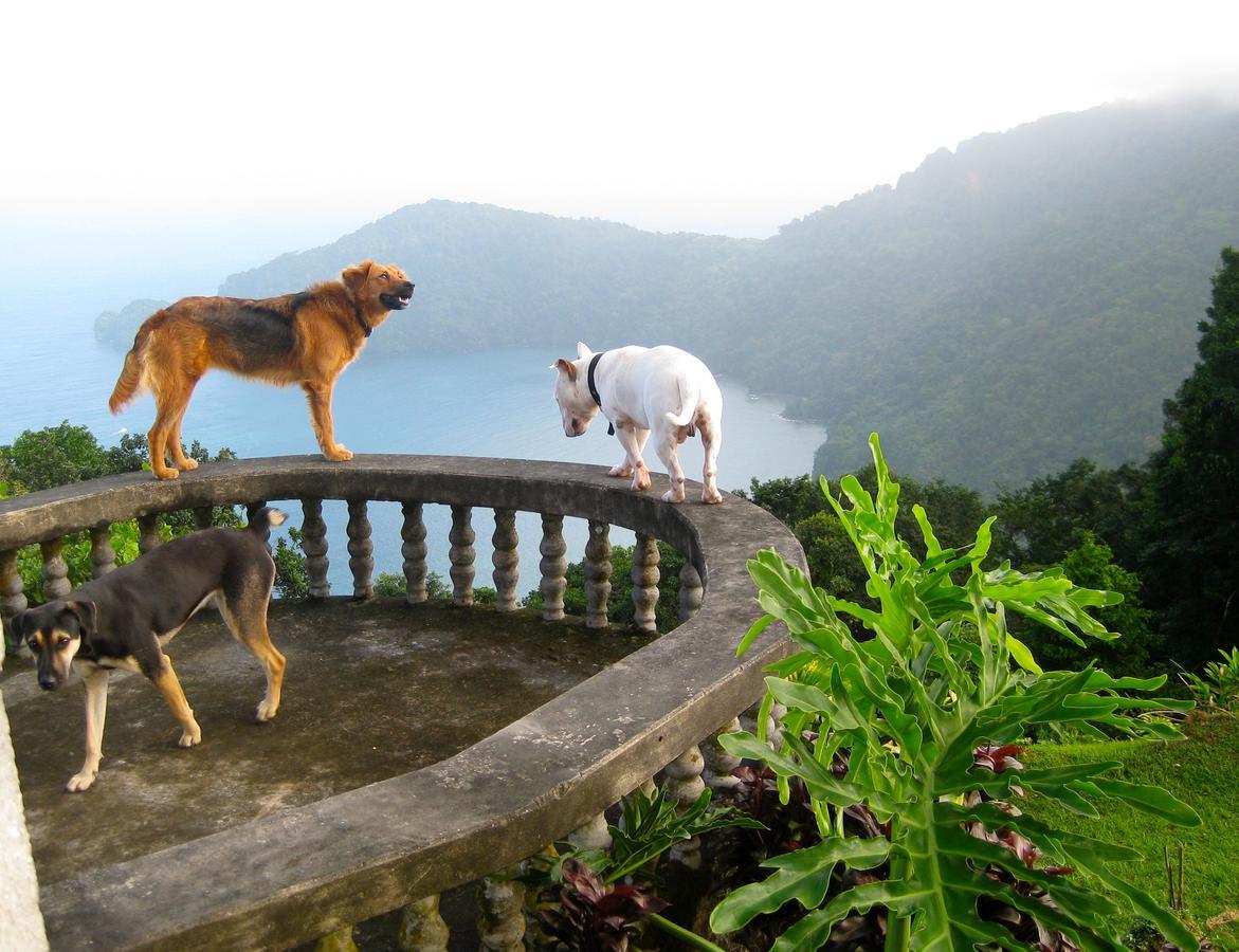 Mahogany Ridge Hotel Arouca Buitenkant foto