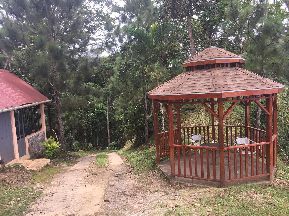Mahogany Ridge Hotel Arouca Buitenkant foto