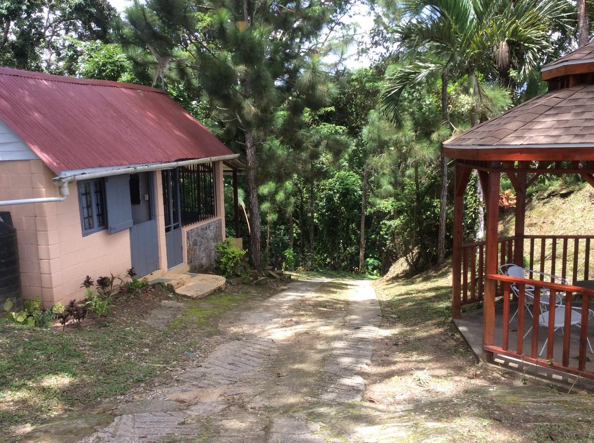 Mahogany Ridge Hotel Arouca Buitenkant foto